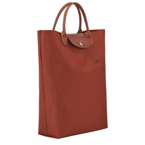 Le Pliage Green M Tote bag Chestnut – Canvas