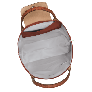 Le Pliage Green M Tote bag Chestnut – Canvas
