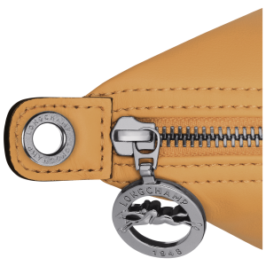 Le Pliage Xtra XS Crossbody bag Honey – Leather