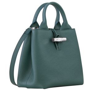 Le Roseau S Handbag Cedar – Leather