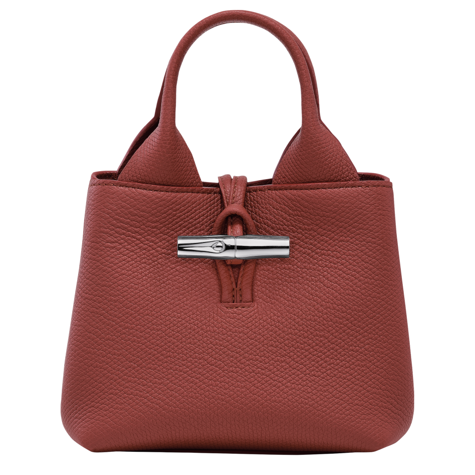 Le Roseau XS Handbag Chestnut - Leather