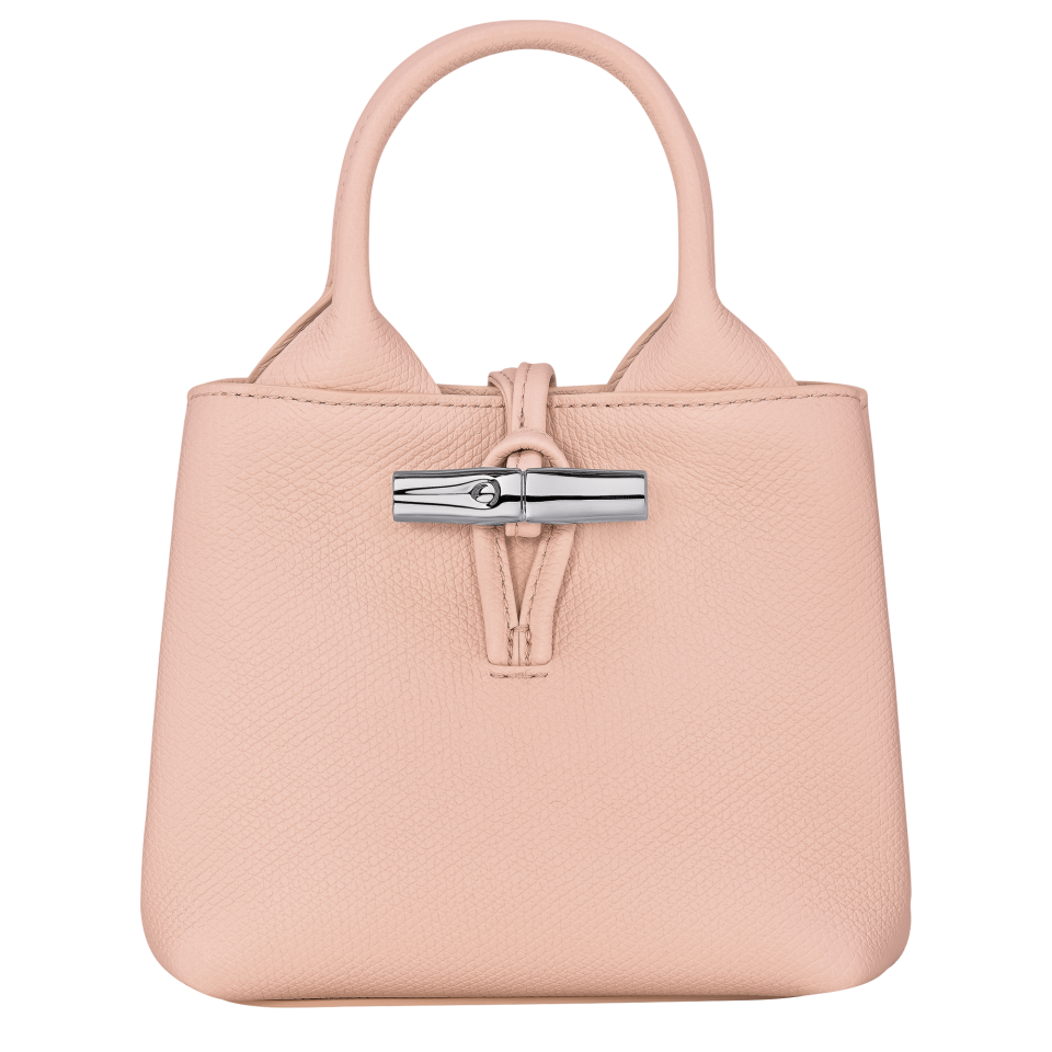 Le Roseau XS Handbag Ballerina - Leather