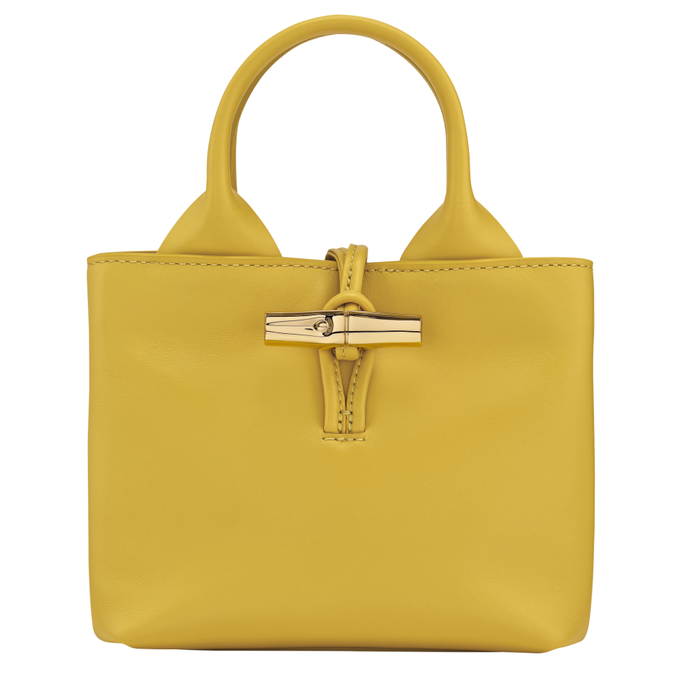 Le Roseau XS Handbag Ginger - Leather