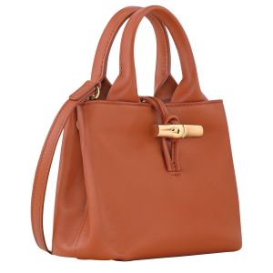 Le Roseau XS Handbag Bark – Leather