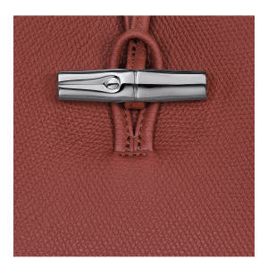 Le Roseau M Shoulder bag Chestnut – Leather