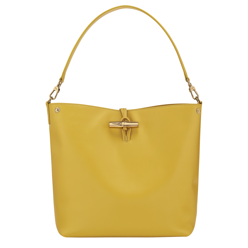 Le Roseau M Hobo bag Ginger - Leather