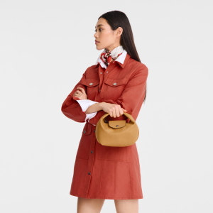 Le Pliage Xtra XS Handbag Honey – Leather