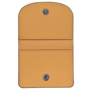 Le Pliage Xtra Card holder Honey – Leather