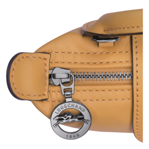 Le Pliage Xtra XS Pouch Honey – Leather