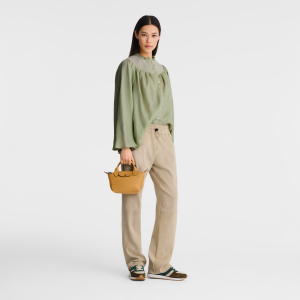 Le Pliage Xtra XS Handbag Honey – Leather