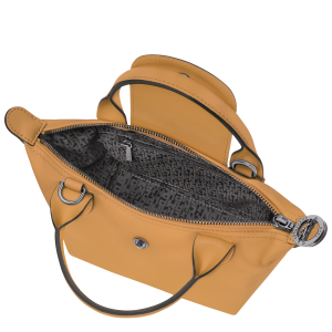 Le Pliage Xtra XS Handbag Honey – Leather
