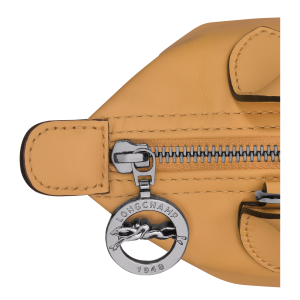 Le Pliage Xtra XS Handbag Honey – Leather
